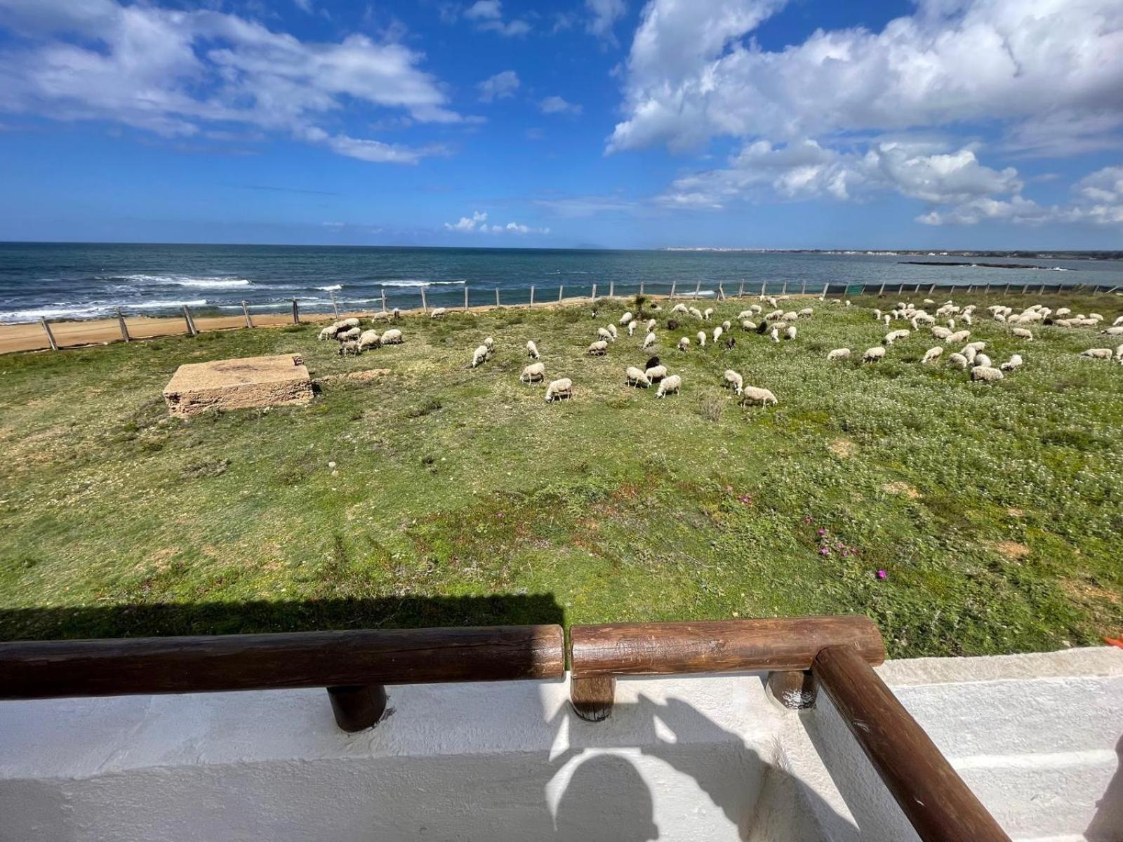 Casa Al Mare Con Splendida Vista Sul Mare Villa Petrosino Eksteriør bilde